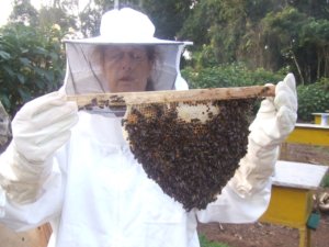 Beekeepers Nepal need Help